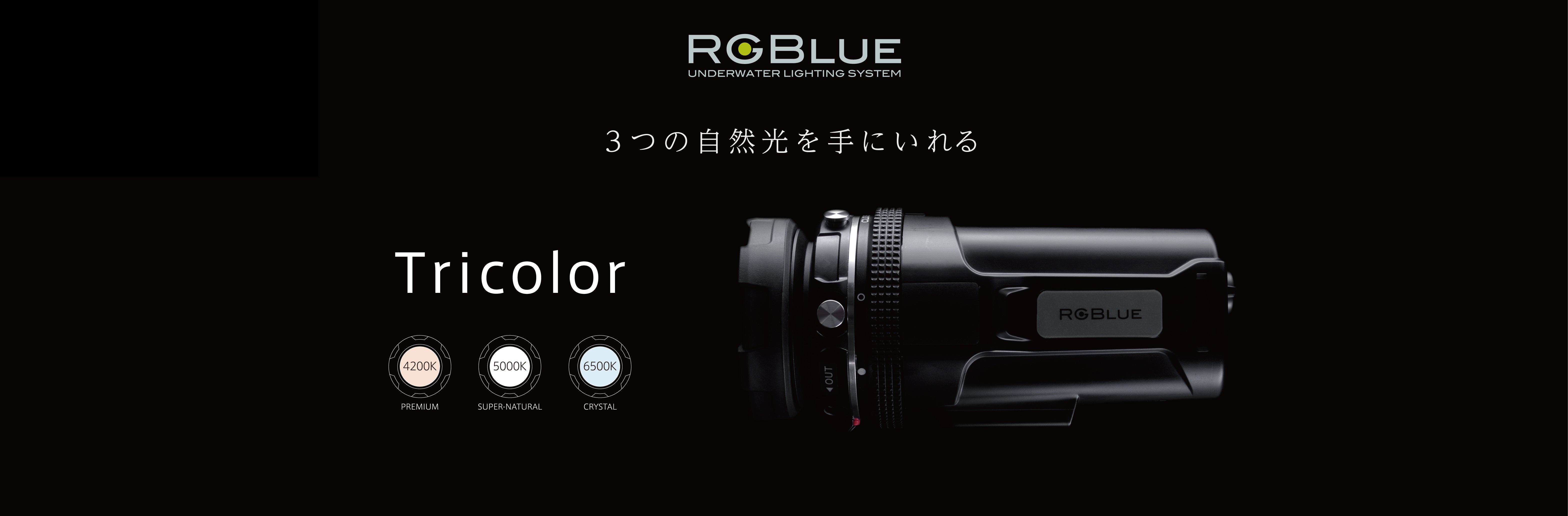SYSTEM Tricolor SERIES｜ダイビング用水中ライトの通販ならRGBlue