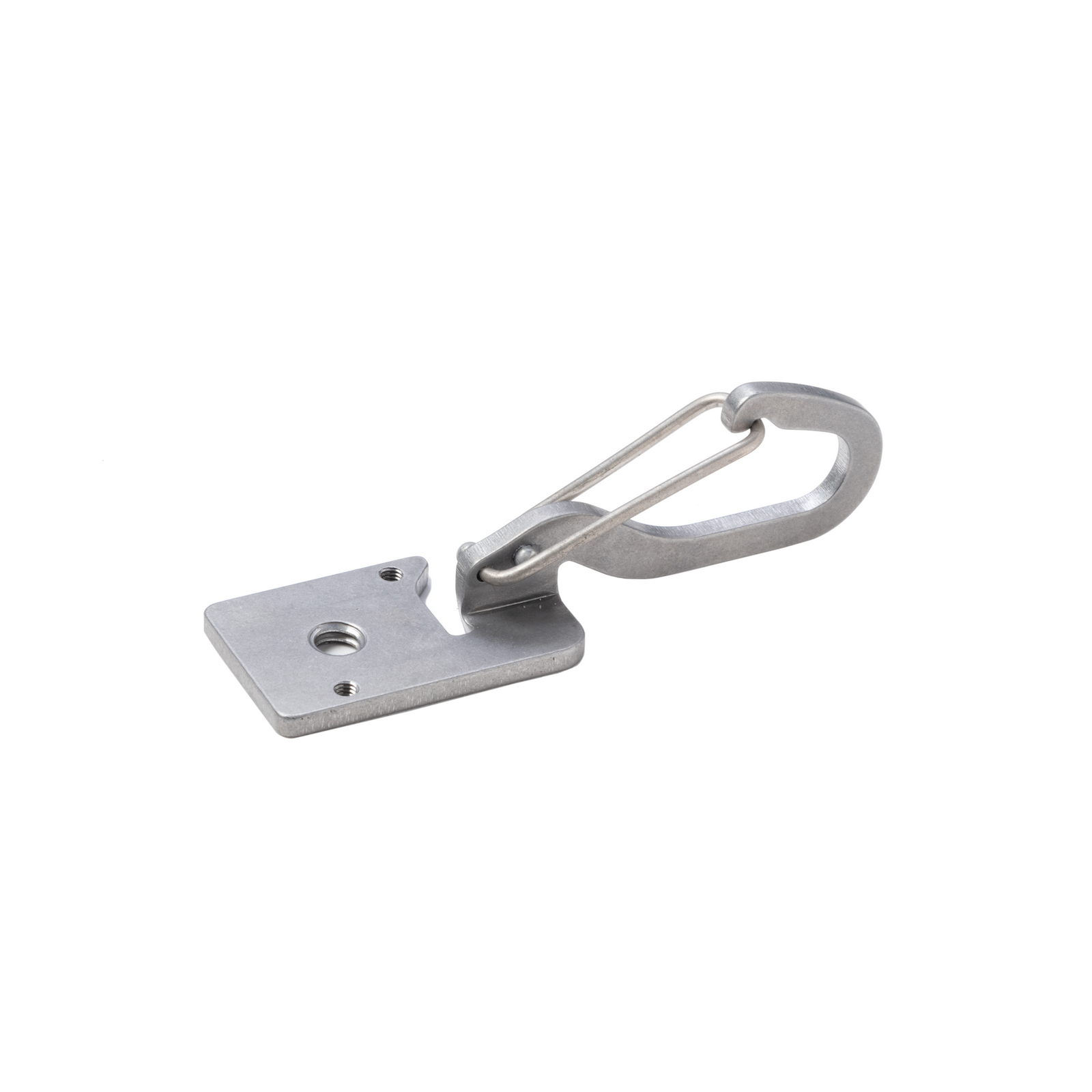 ファンクラブ限定カラビナ Direct Carabiner (re)｜ダイビング用水中ライトの通販ならRGBlue