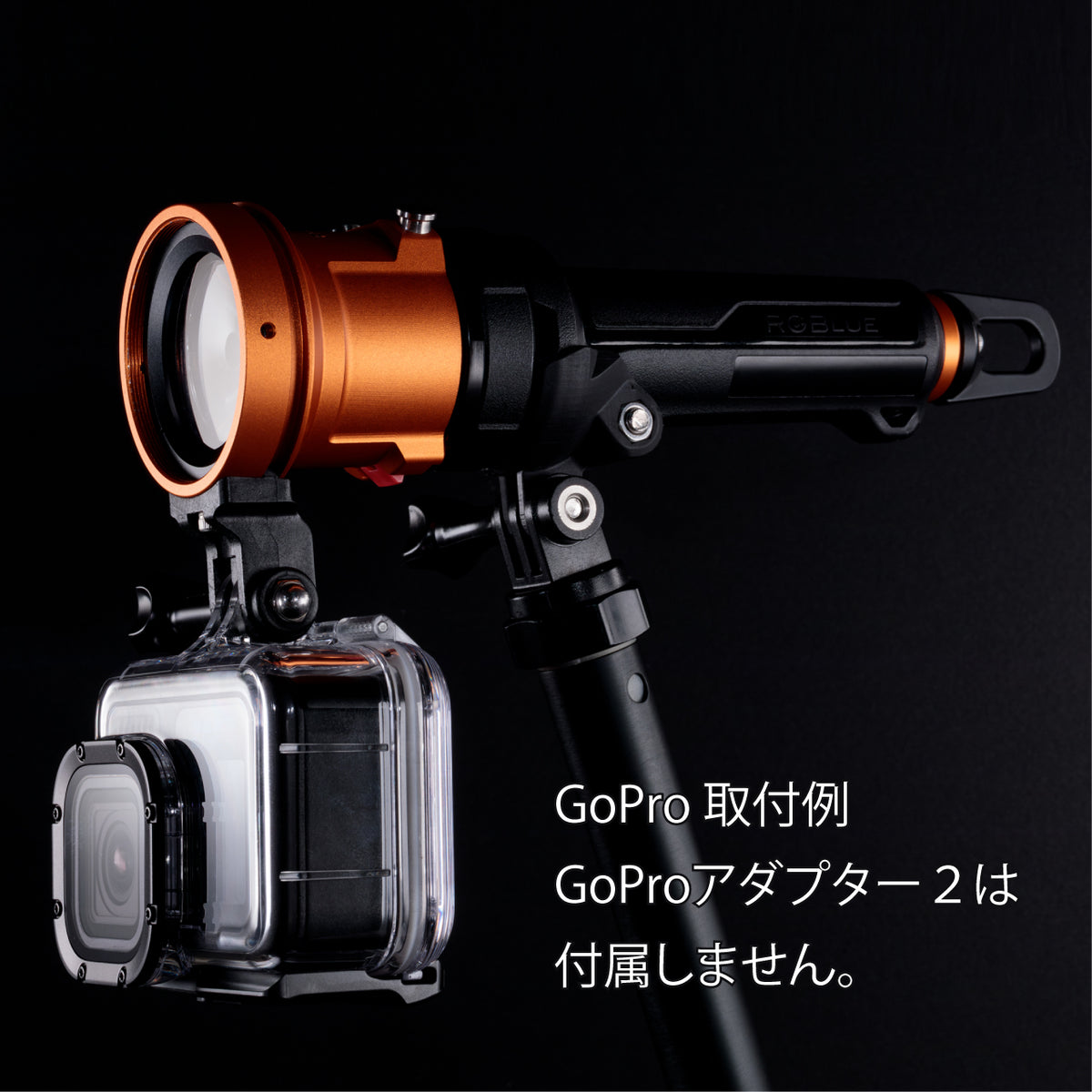 その他 gopro GoPro Mount Adapter｜ダイビング用水中ライトの通販ならRGBlue