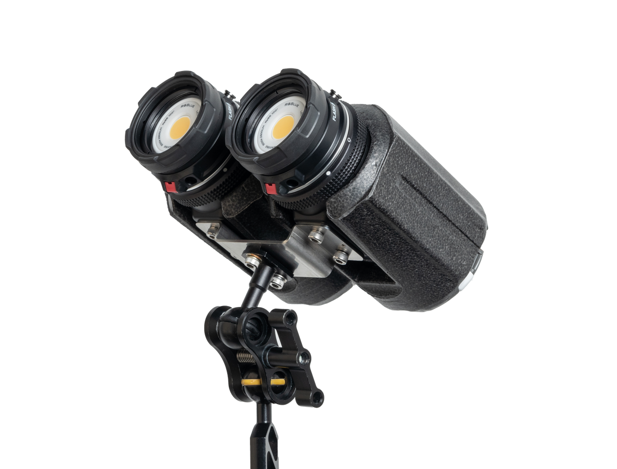 レプトン マグロ用 マグディー220(夜光色) レプトンマグロ用 レプトン マグロ用 マグディー220(夜光色) レプトンマグロ用